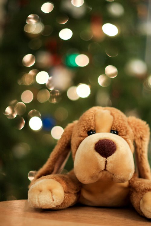 [09Jan02_bokeh_18.jpg]