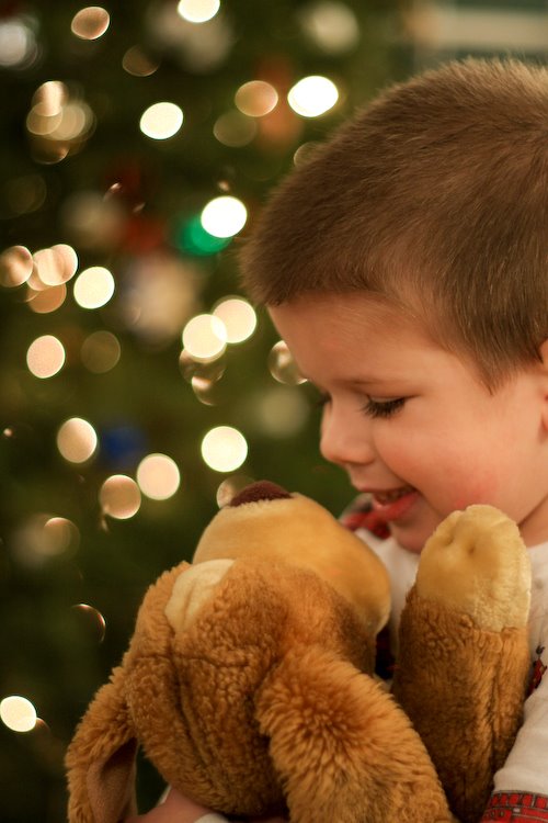 [09Jan02_bokeh_5.jpg]