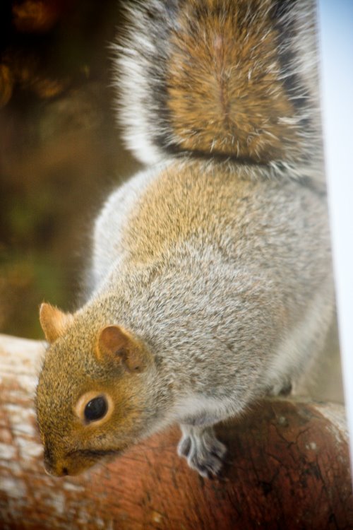 [08Dec23_cocoa_3.jpg]