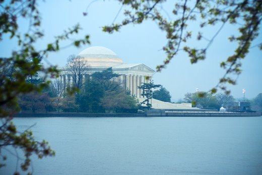 [09Apr11_cherryblossoms_48.jpg]