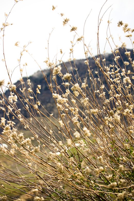 [09May03_trip_33.jpg]