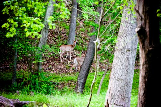 [09May13_hike_20.jpg]