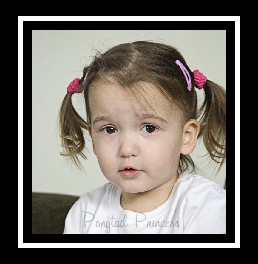 [ponytail-princess.jpg]