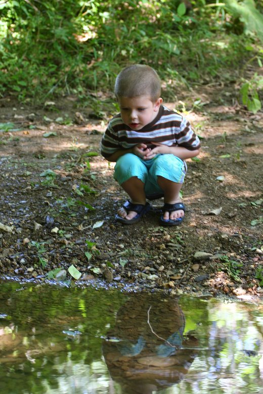 [09Jun24_moutainside_203.jpg]