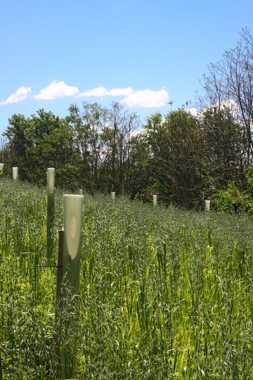 [09Jun24_moutainside_94.jpg]