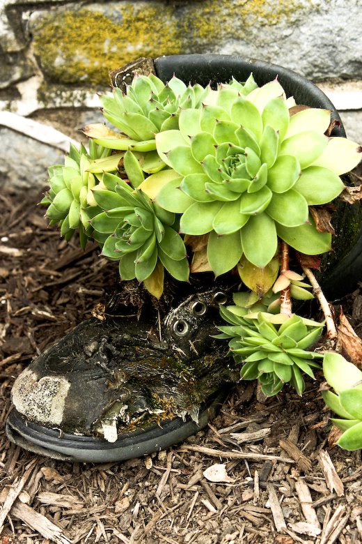 [09Jul29_Penn_164.jpg]