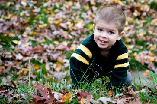 [08Nov11_leaves_35.jpg]