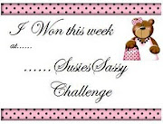 I WON at the Last Sassy Susie Challenge !!