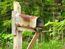 My husbands idea of a good looking mailbox!