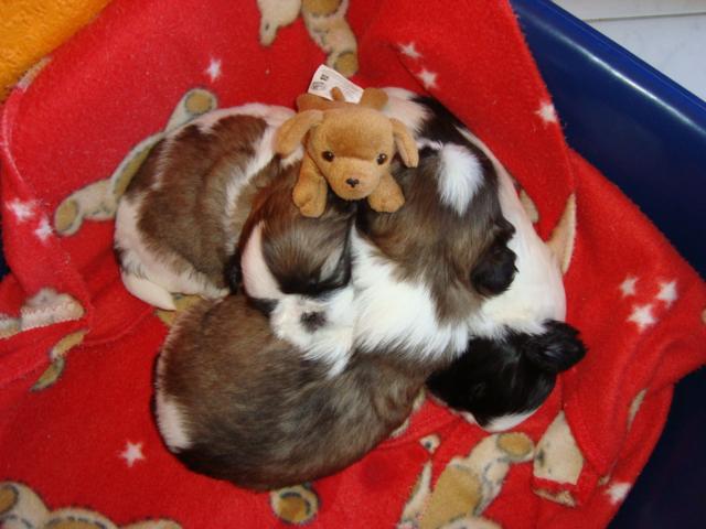 [DSC08012_640x480.JPG]