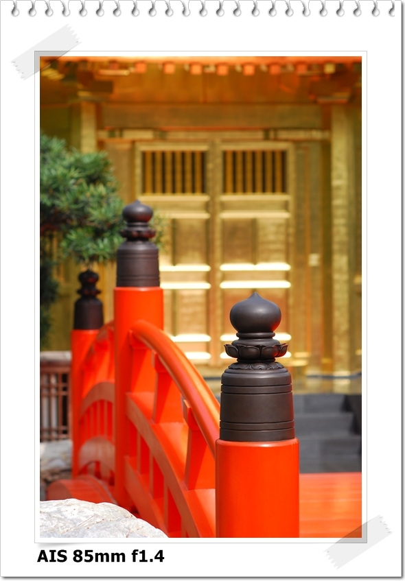 [DSC_4712.JPG]