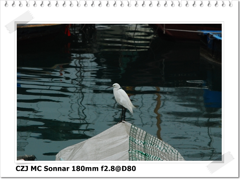 [DSC_5472.JPG]