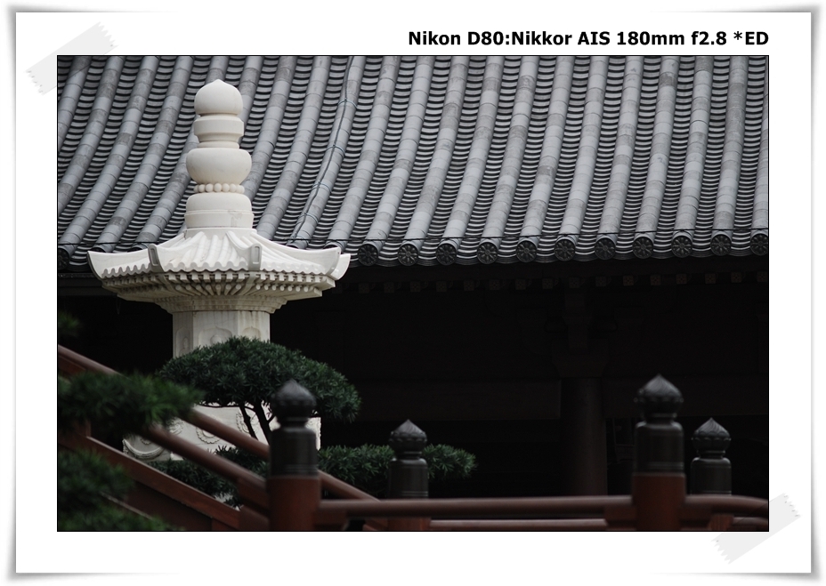 [DSC_7635.JPG]