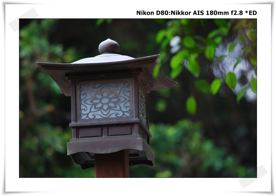 [DSC_7625.JPG]