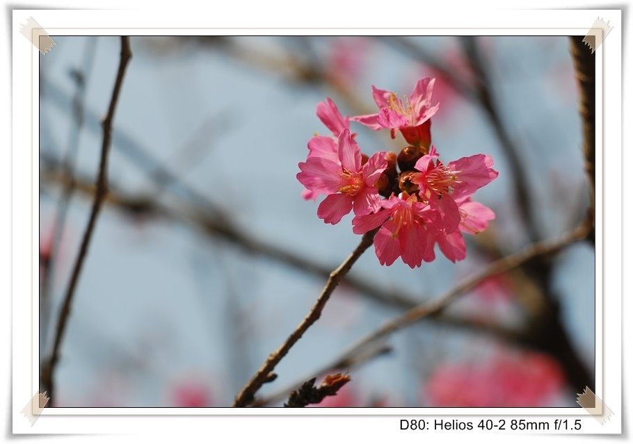 [DSC_8979.JPG]