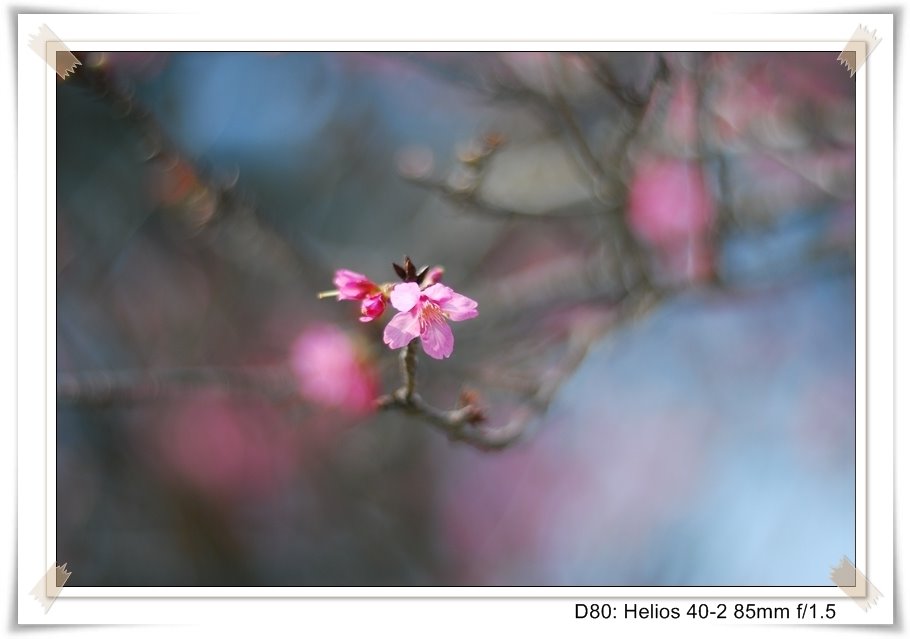 [DSC_8971.JPG]