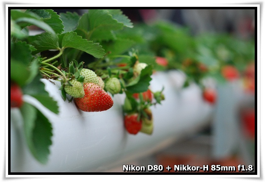 [FARMFEST_07.JPG]