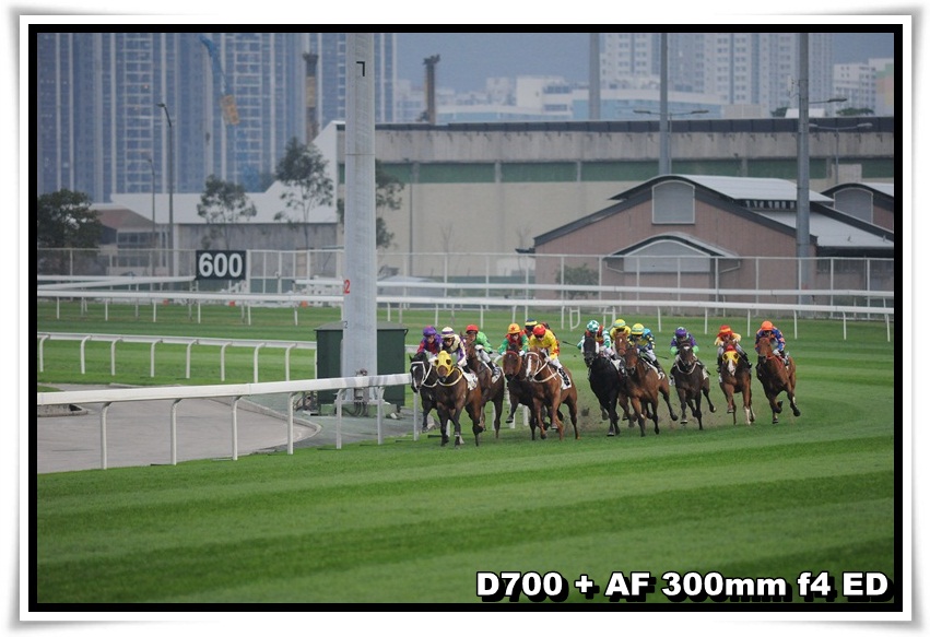 [HorseRace_30.JPG]