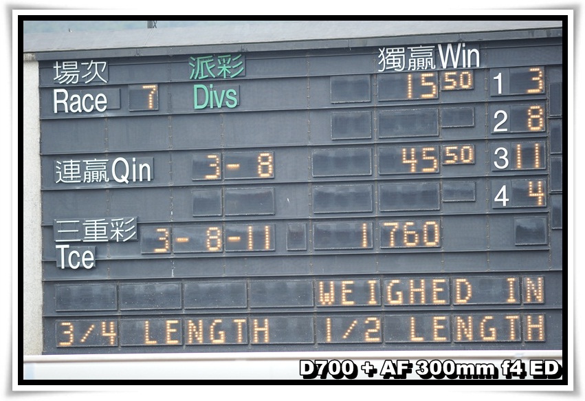 [HorseRace_04.JPG]