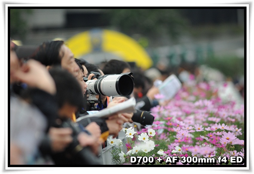 [HorseRace_09.JPG]