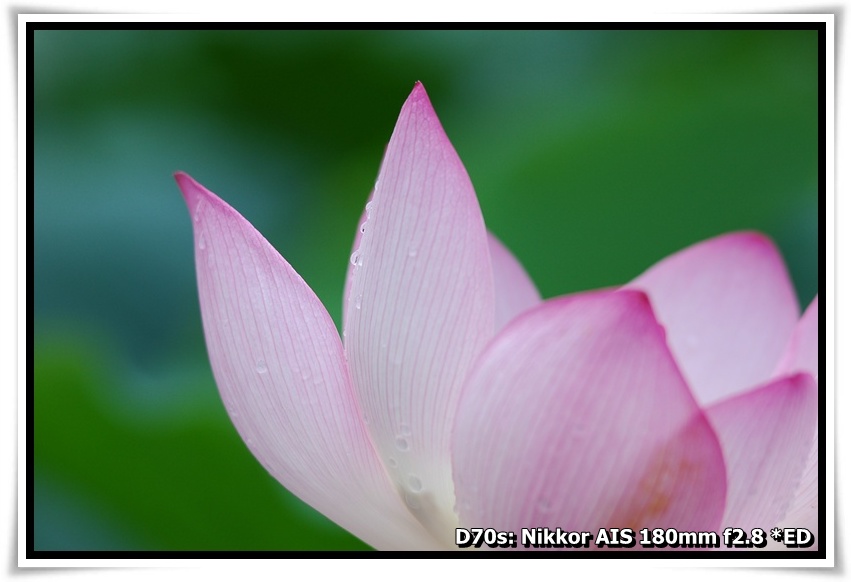 [DSC_2462.JPG]