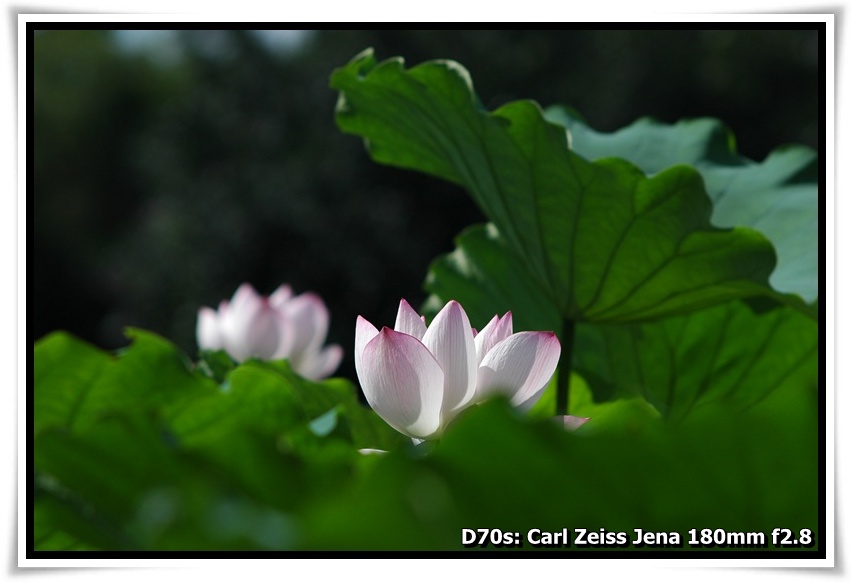 [DSC_2727.JPG]