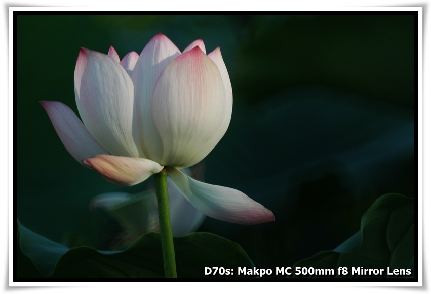 [DSC_3077.JPG]