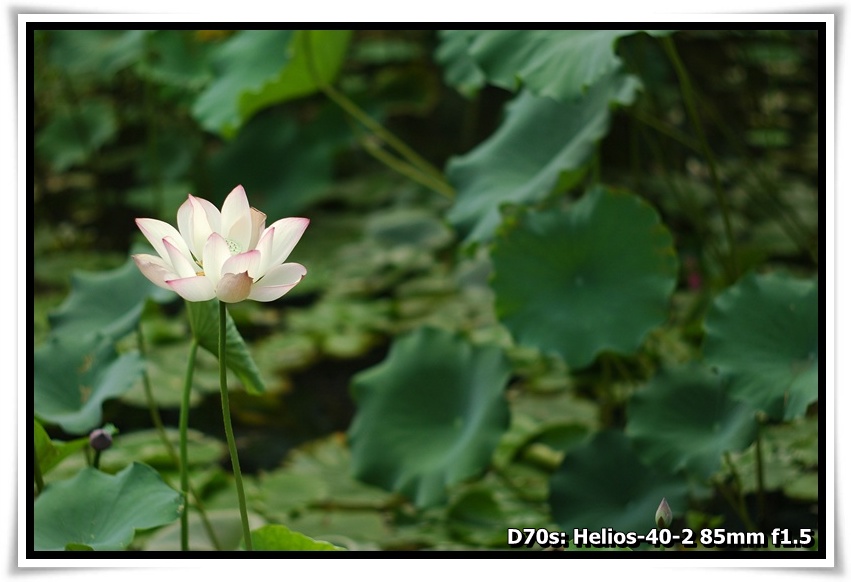 [DSC_3560.JPG]