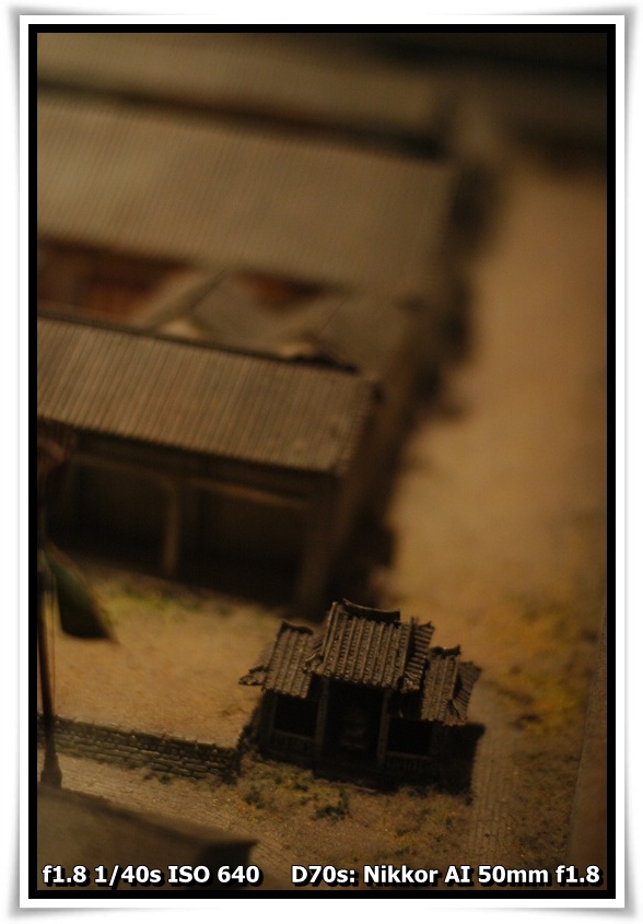 [DSC_4225.JPG]