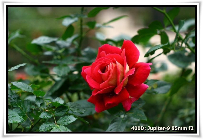 [IMG_6723.JPG]