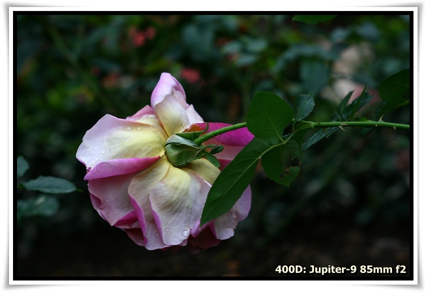 [IMG_6760.JPG]