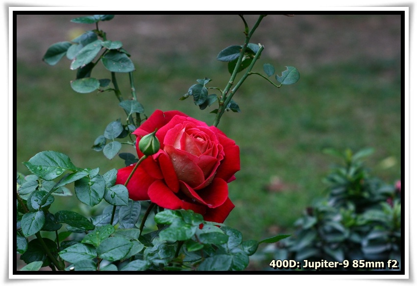 [IMG_6738.JPG]