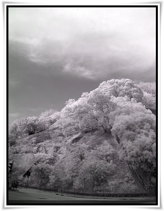 [DSCN0868.JPG]