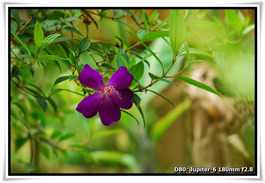 [DSC_3125.JPG]
