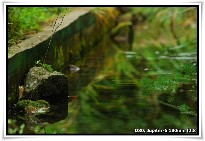 [DSC_3068.JPG]