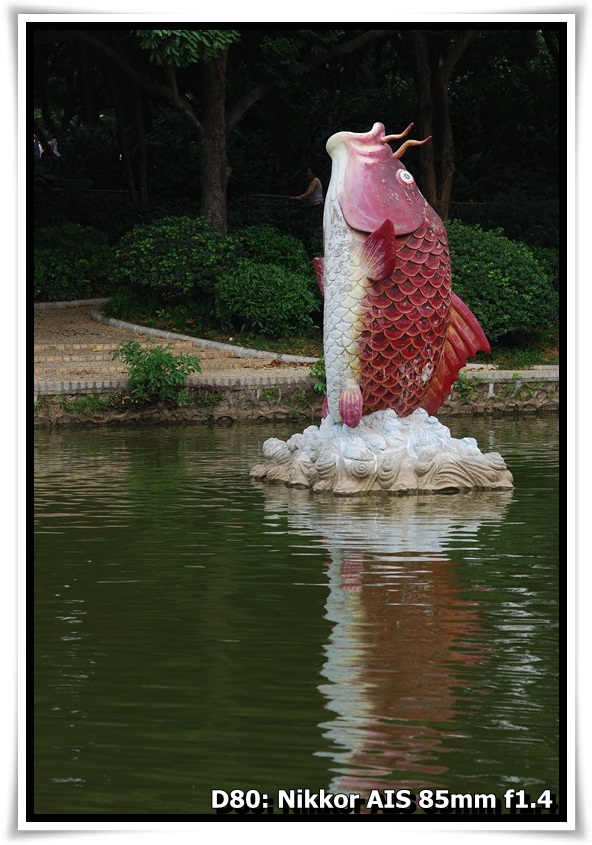[DSC_4953.JPG]