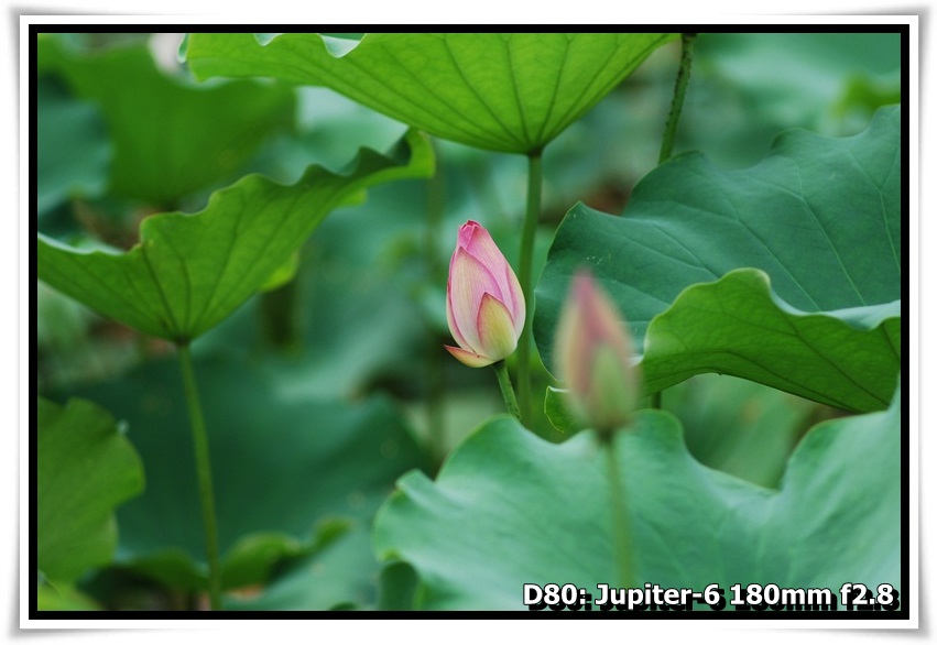 [DSC_4963.JPG]