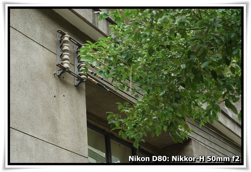 [DSC_5675.JPG]