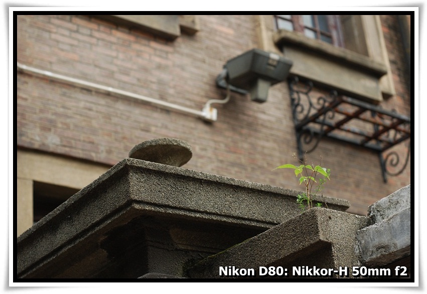 [DSC_5655.JPG]