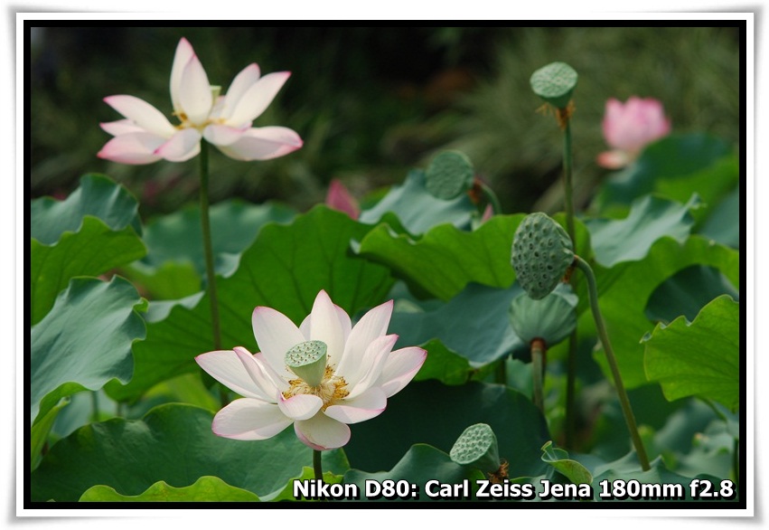 [DSC_5827.JPG]