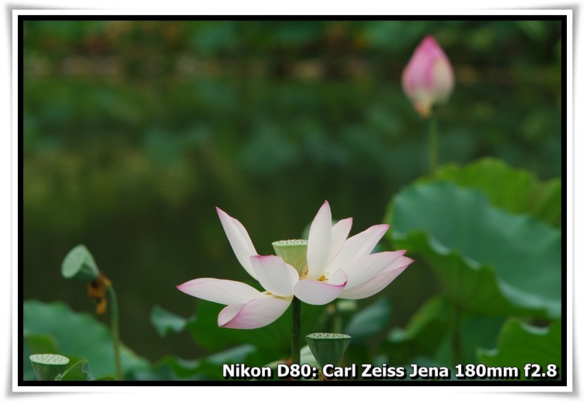 [DSC_5812.JPG]