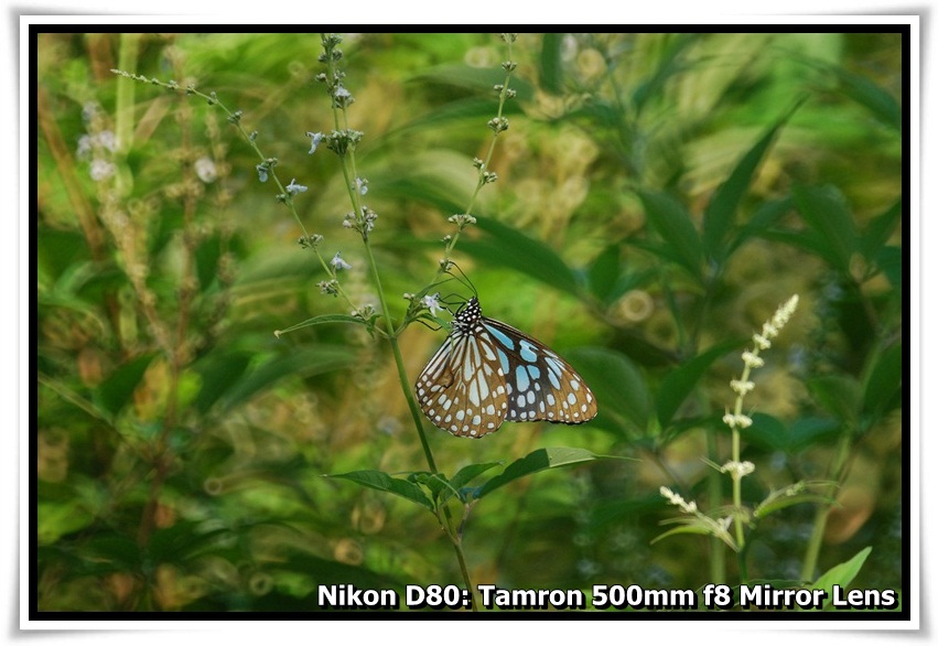 [DSC_6139.JPG]