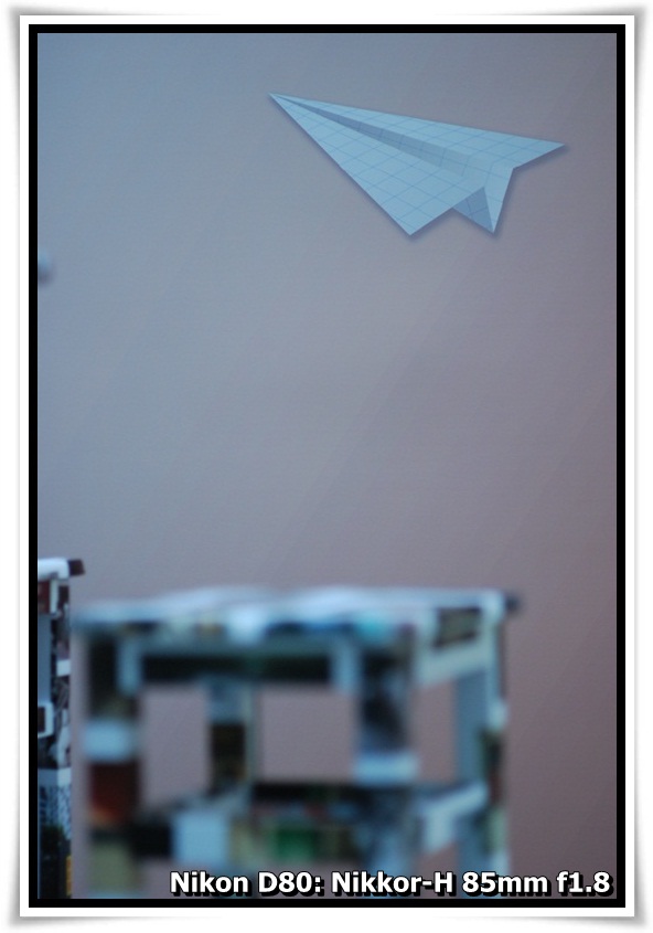 [DSC_6346.JPG]
