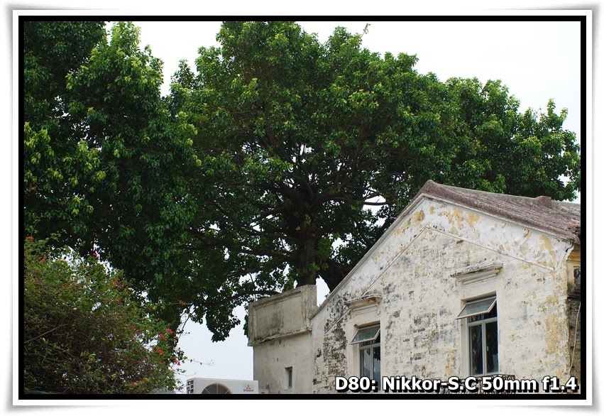 [DSC_9482_vila_de_Coloane.JPG]