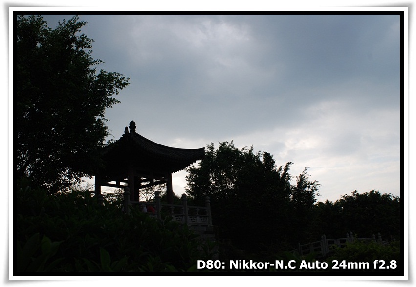 [DSC_0114.JPG]