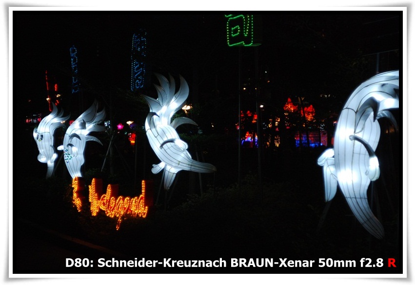 [DSC_0740.JPG]