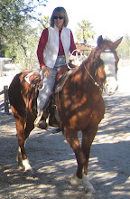 Enjoying My Horse, Hershey