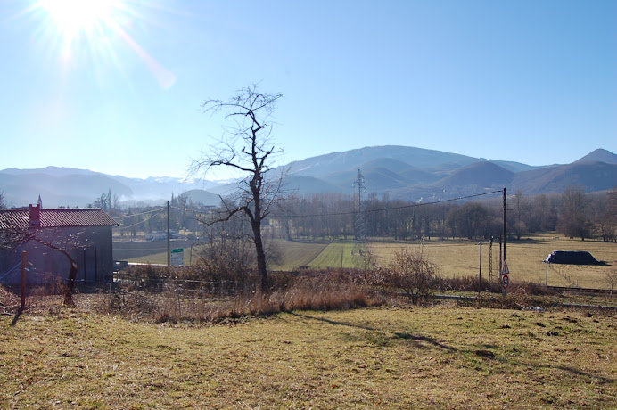 The Field winter