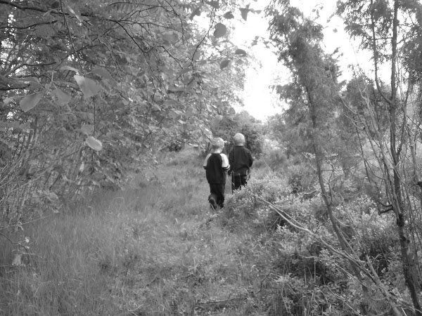 Guttene i blåbærskogen bak huset vårt