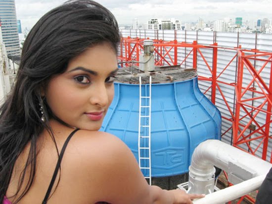 hot kannada tamil actress divya or ramya hot show pics-beautyceleb.blogspot.com